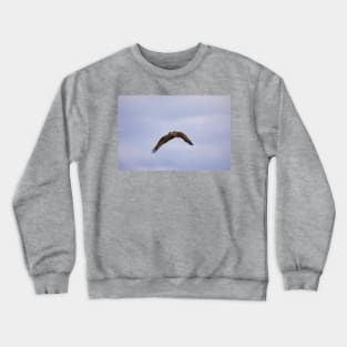 Osprey_VOA6828 Crewneck Sweatshirt